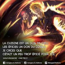 Résultat de recherche d'images pour "citations sur one piece sanji les epices" 